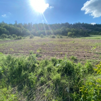 Kzk Emlak’tan Bilecik Gölpazarı Asfalt Yol cepheli 8.338 M2 Satılık Arsa