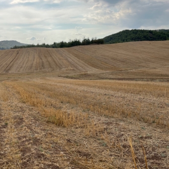 Kazaklar Emlak’tan Bilecik Osmaneli Soğukçapınar Köyiçi 2535 M2 Satılık Tarla