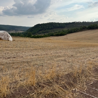 Kazaklar Emlak’tan Bilecik Osmaneli Soğukçapınar Köyiçi 2535 M2 Satılık Tarla