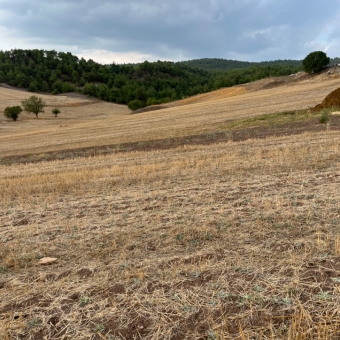 Kazaklar Emlak’tan Bilecik Osmaneli Soğukçapınar Köyiçi 2535 M2 Satılık Tarla