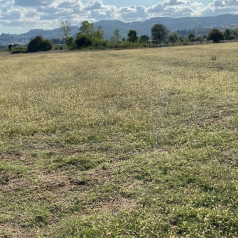 sile geredeli dere cepheli satılık arsa