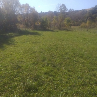 sile geredeli köyde satılık 1500m2 arsa