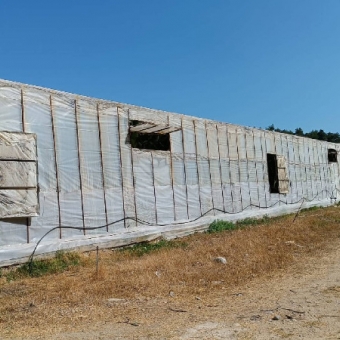 Mersin Bozyazı Acil Satılık Muz Serası
