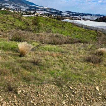 Mersin Anamur Malaklar Satılık Müstakil Tapulu Tarla