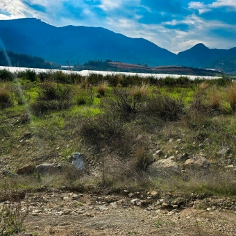Mersin Anamur Malaklar Satılık Müstakil Tapulu Tarla