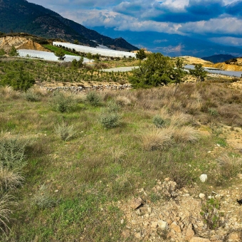 Mersin Anamur Malaklar Satılık Müstakil Tapulu Tarla