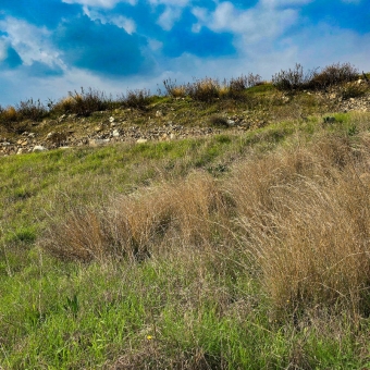 Mersin Anamur Malaklar Satılık Müstakil Tapulu Tarla
