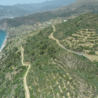 Anamur Anıtlı Satılık Müstakil Tarla