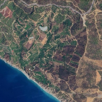 Anamur Anıtlı Satılık Müstakil Tarla