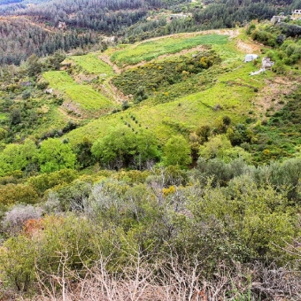 Anamur Kızılaliler Satılık Müstakil Tapulu Tarla