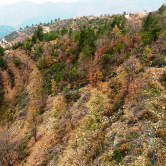 Mersin Anamur Sarıdana Satılık Tarla