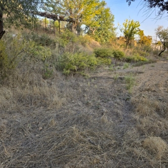 Mersin Anamur Uçarı Satılık Tarla-Ev