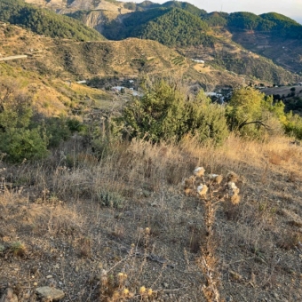 Mersin Anamur Uçarı Satılık Tarla-Ev