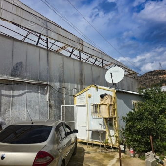 Mersin Anamur Satılık Muz Serası