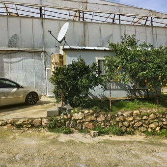 Mersin Anamur Satılık Muz Serası