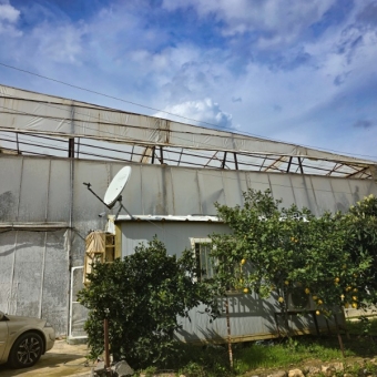 Mersin Anamur Satılık Muz Serası