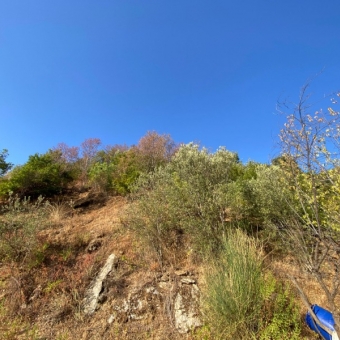 Mersin Anamur Karaçukur Satılık Tarla