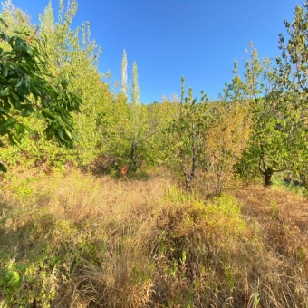 Mersin Anamur Karaçukur Satılık Tarla