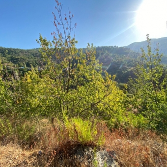 Mersin Anamur Karaçukur Satılık Tarla