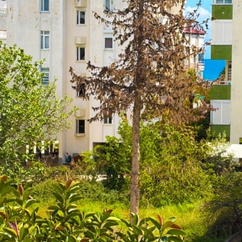 Mersin Anamur Sahil Satılık 2+1 Daire