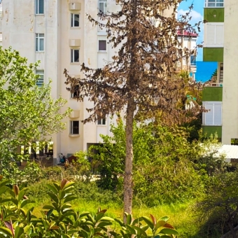 Mersin Anamur Sahil Satılık 2+1 Daire