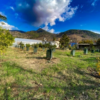 Mersin Anamur Satılık Müstakil Arsa