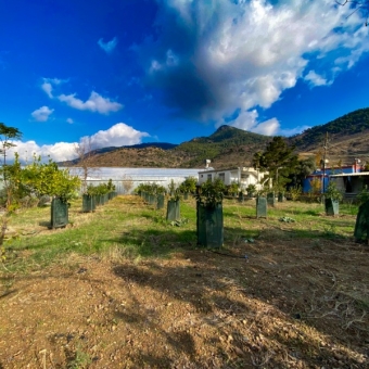 Mersin Anamur Satılık Müstakil Arsa