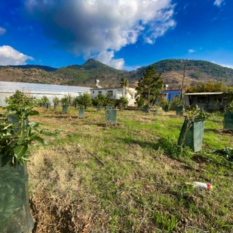 Mersin Anamur Satılık Müstakil Arsa