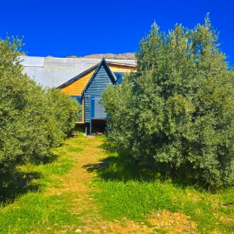 Mersin Anamur Bozdoğan Satılık Villa Arsası